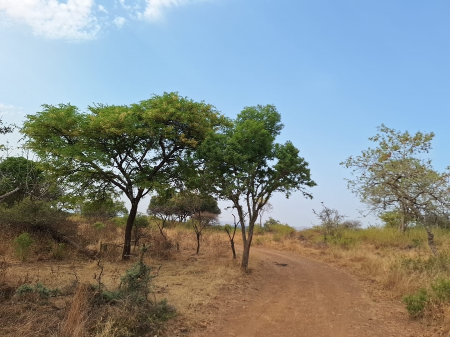 5 Bedroom Property for Sale in Koster North West
